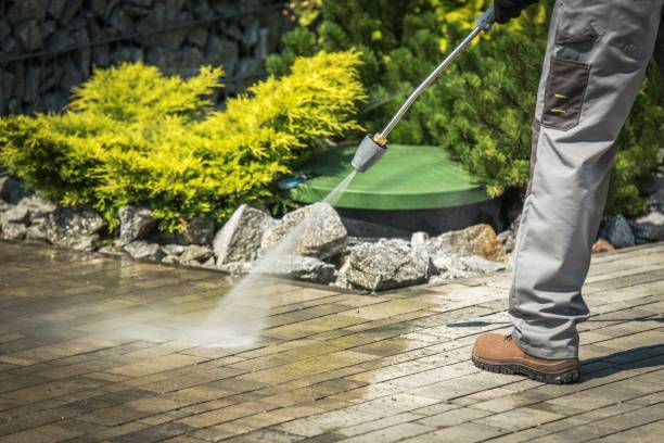Best Building Exterior Washing  in Franconia, VA